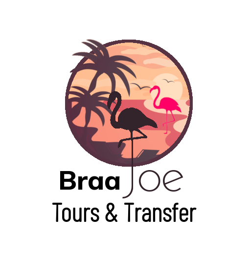 Braa Joe Logo